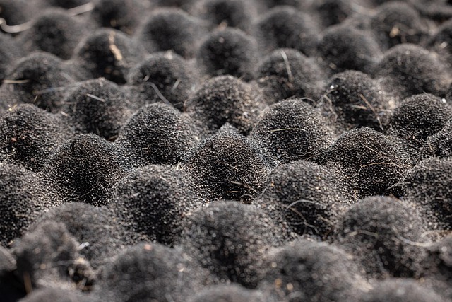 Er dit hjem klædt på til vinteren? 7 advarselstegn på dårlig isolering